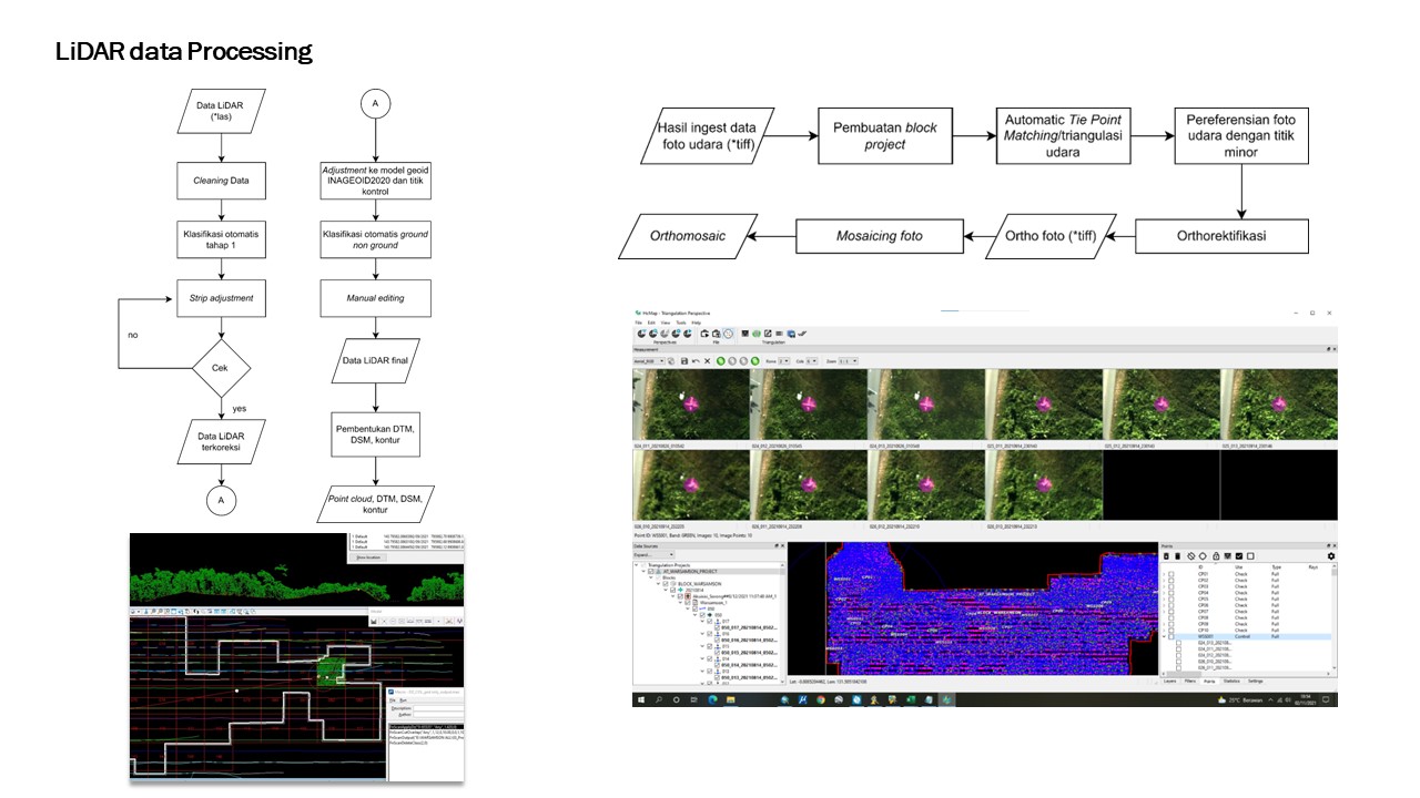 Slide 8